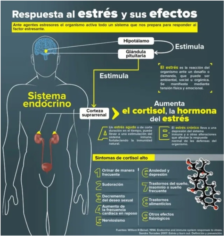 mindfulness estres