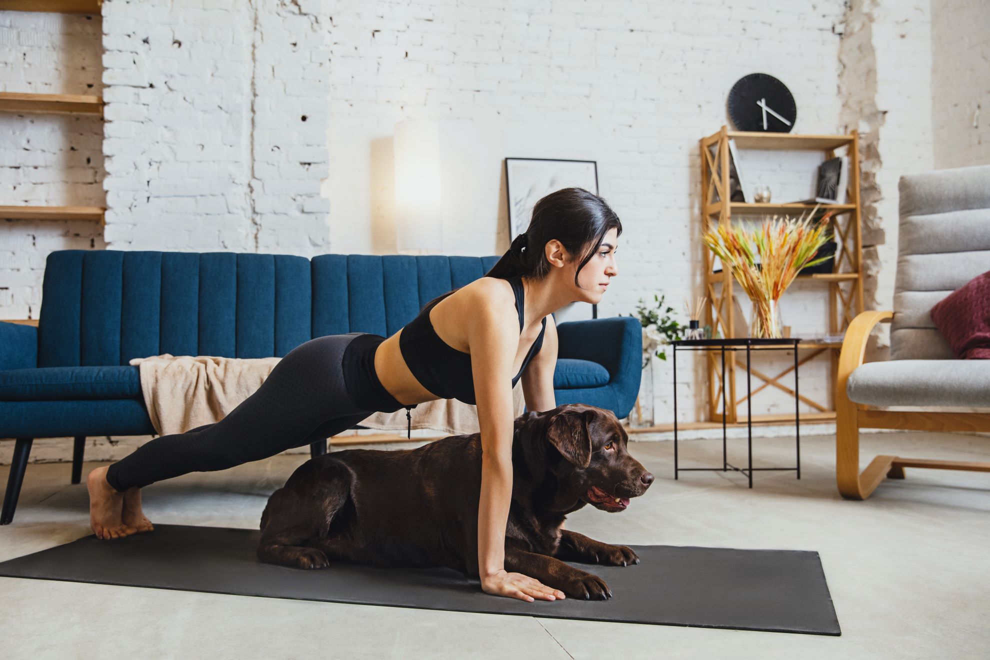 El mejor amigo del hombre… y del bienestar