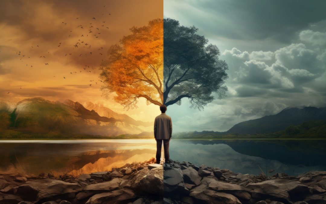 Superar la adversidad es bienestar: la teoría de la resiliencia organizacional