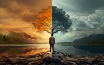 Superar la adversidad es bienestar: la teoría de la resiliencia organizacional