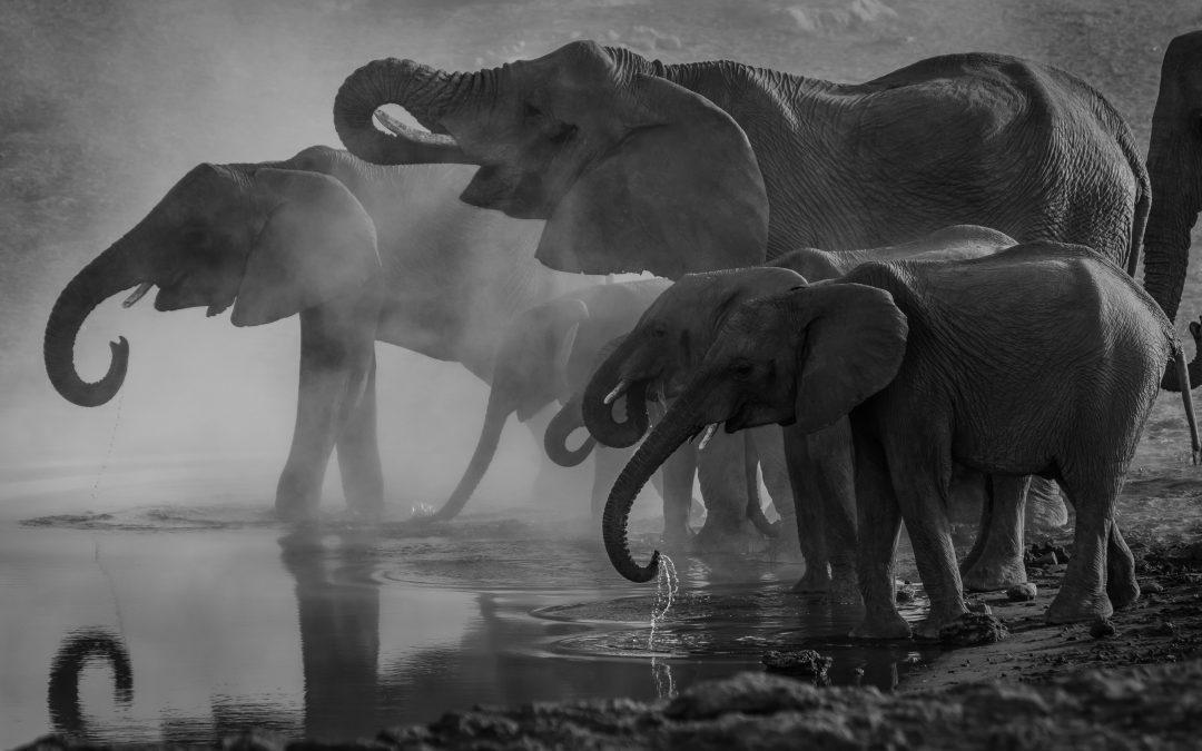 El liderazgo, o es saludable o no es liderazgo