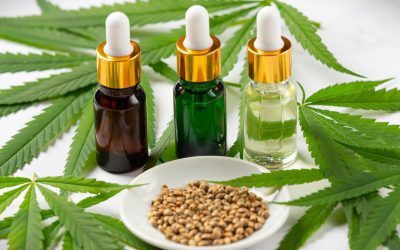 Cannabis medicinal en la empresa: el bienestar laboral ante un cambio regulatorio que llega demasiado rápido para la clínica