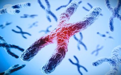 Telómeros: lo que ocurre en nuestras células mientras seguimos trabajando