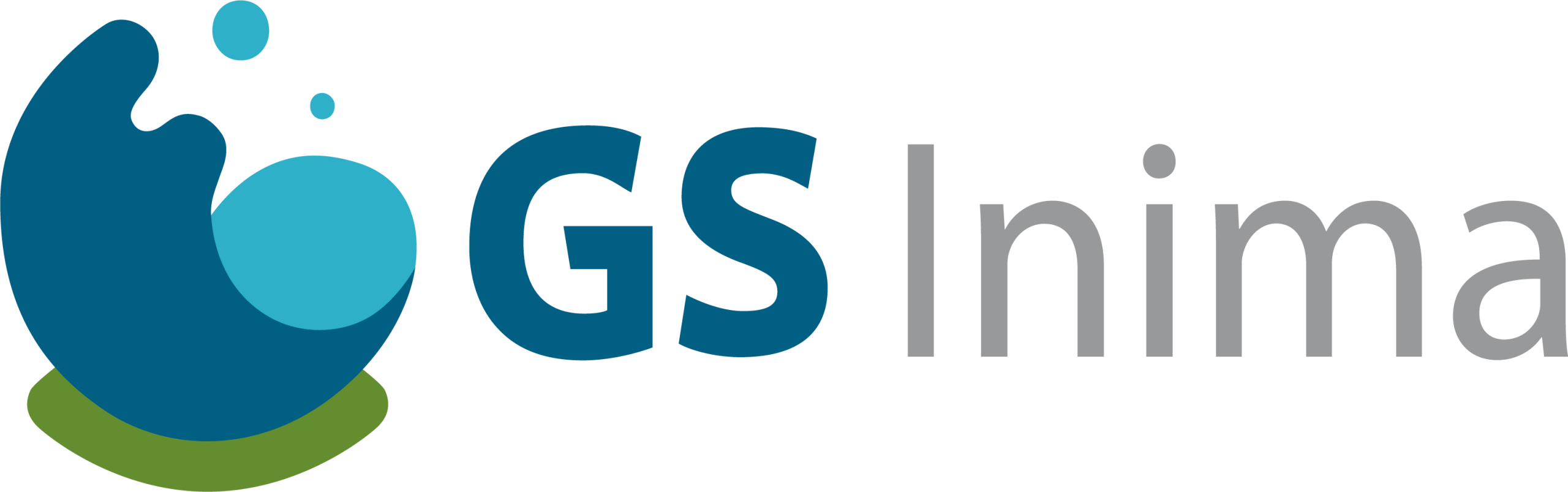 GS INIMA