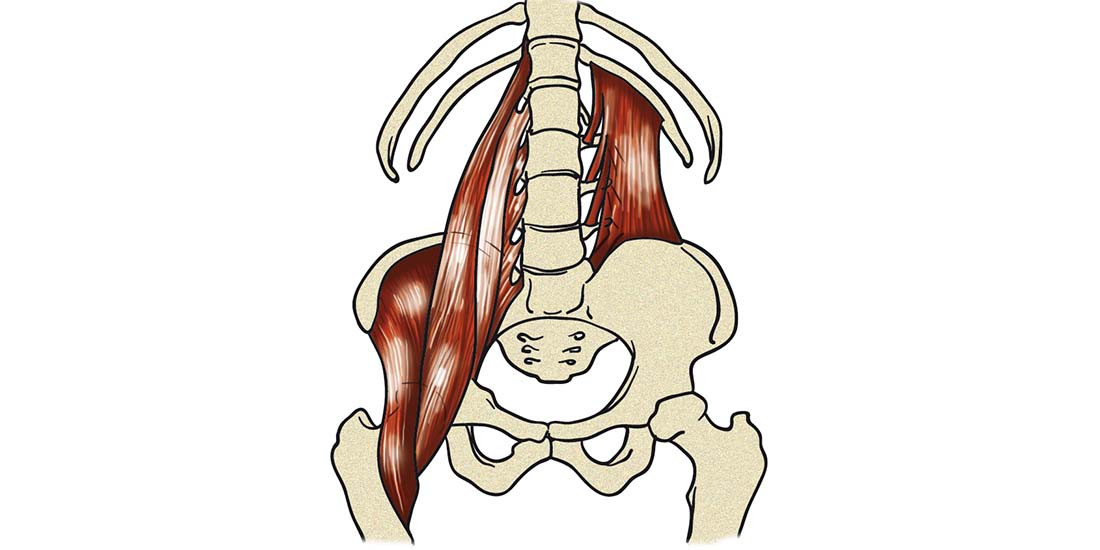 article-molestias-lumbar-evalua-psoas-57f74bd10f97f